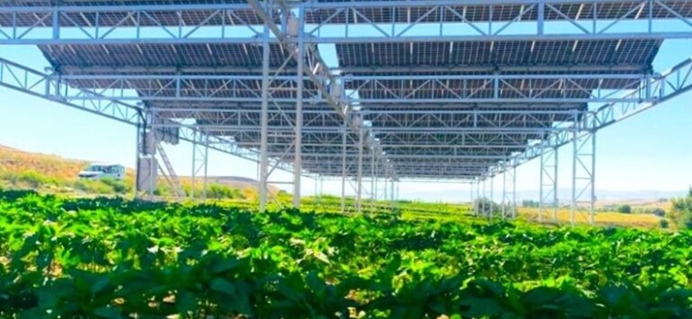 튀르키예, ‘태양광 추적’ 기반 농업 활성화 착수… 토마토·고추 등 실험
